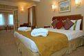Executive Suite (Double Bed) 