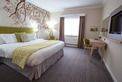 One of our standard doubles (Newly Refurbished)  