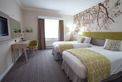 Executive Twin bedded room 